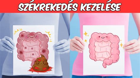 A székrekedés mechanizmusa és okai