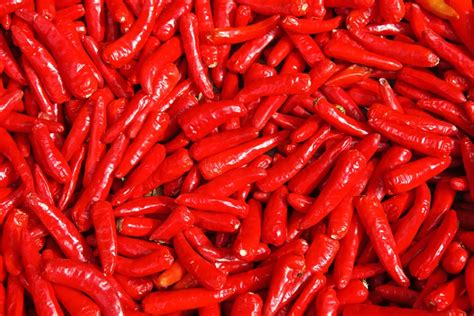 Fűszerpaprika fajták