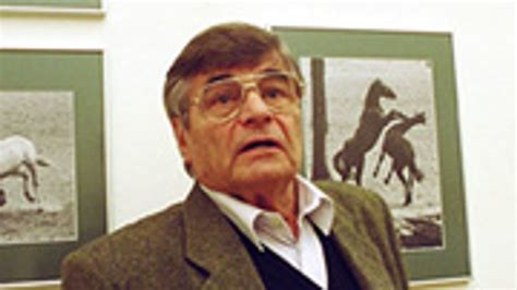 Hemző Károly portréja