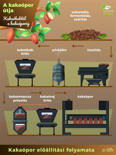 Kakaóbab és kakaópor