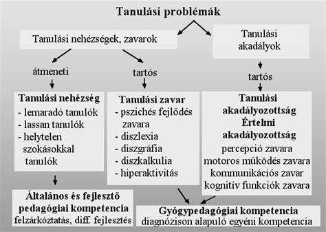 Speciális nevelési igényű tanulók