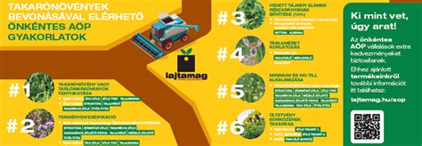 Növényi összetevők a fürdőszobában