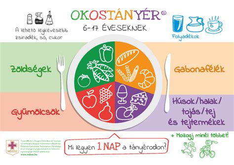 Napi étkezések és folyadékbevitel
