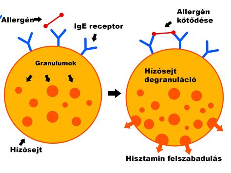 Hőátadás összehasonlítása különböző anyagokon keresztül