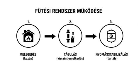 A fermentációs folyamat fázisait bemutató diagram