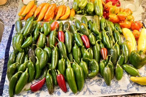 Különböző Jalapeno paprikamagok