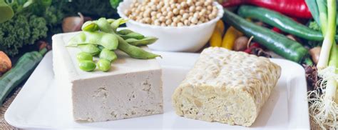 Tofu és tempeh ételek