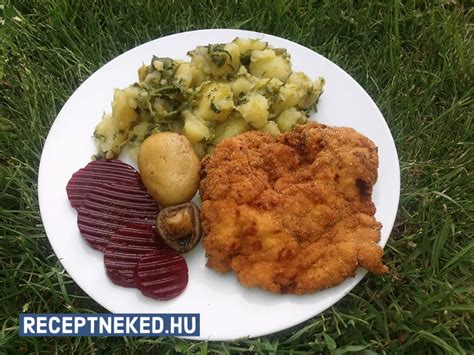 Tányér tavaszi rántott szelettel, citrommal és friss petrezselyemmel