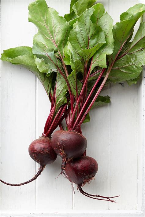 Cékla színező hatása a vizeletre