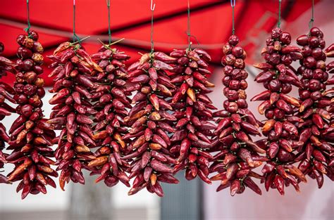 Új hajtások a paprika növényen