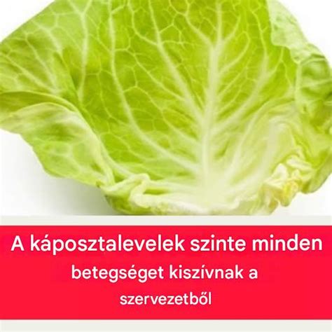 Káposztalevelek szétválasztva