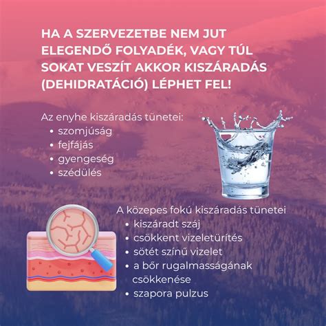 Különböző fejlettségi fokú csiperkegombák