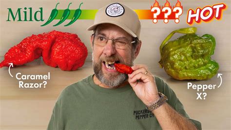 A Pepper X paprika és Ed Currie