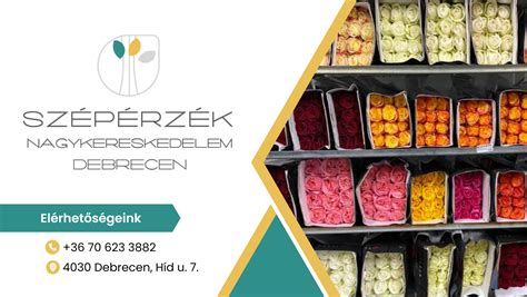 Linzer Kft. üzlet kirakata