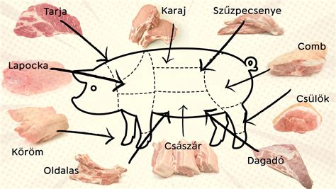 Különböző húsrészek ábrája