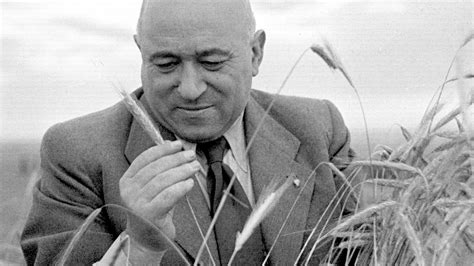 Rákosi Mátyás az Új kenyér ünnepén, 1948-ban