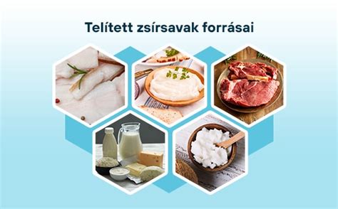 Telített és telítetlen zsírsavak molekulaszerkezete