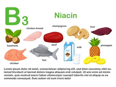 B3-vitamin források infografika