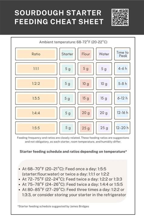 Infographic showing sourdough feeding schedule