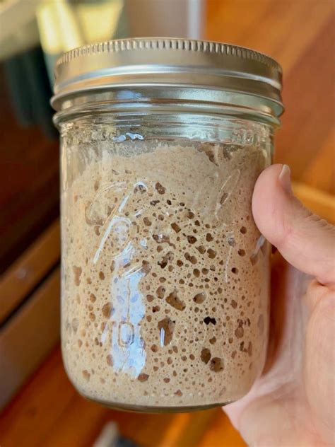 Dried sourdough powder in a jar