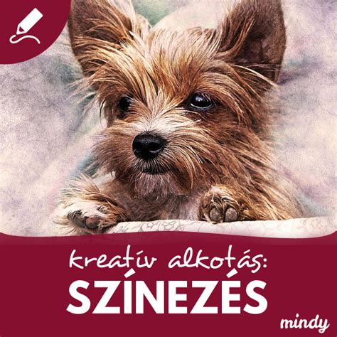 ételfestékek és fondant színezési technikák bemutatása