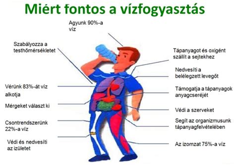 vízfogyasztás és egészség infografika