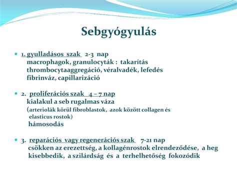 A horzsolás és a sebgyógyulás fázisai
