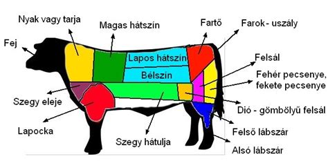 Marhahús különböző részei