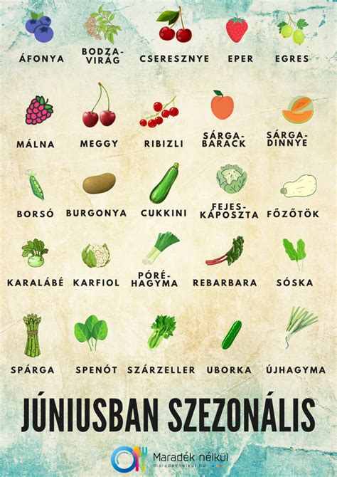 Zöldségek és saláták egészségügyi előnyei infografika