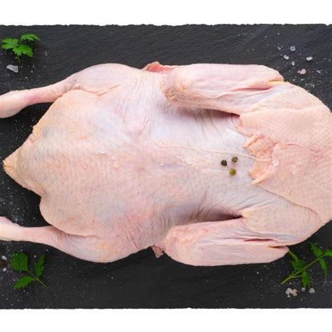 Friss kacsa beszerzése