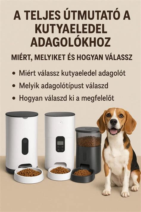 kiegyensúlyozott kutyaeledel tálban