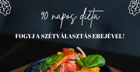 A 90 napos diéta napi ciklusainak összefoglalása