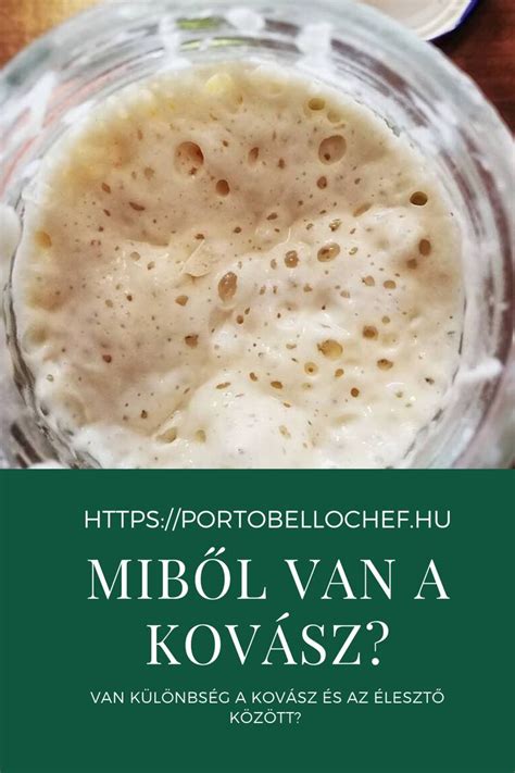különbség a vadkovász és az ipari kovász között