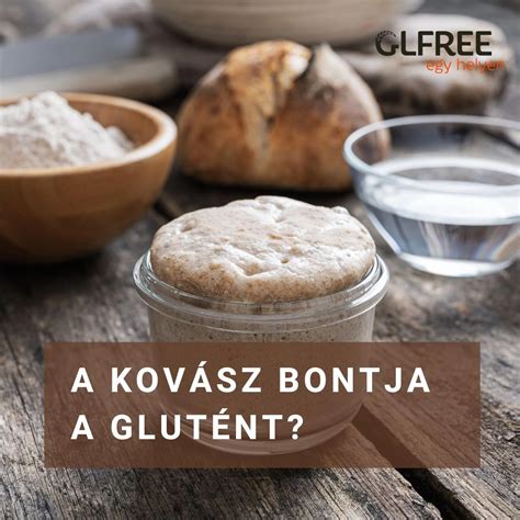 a kovász táplálása és fejlődése