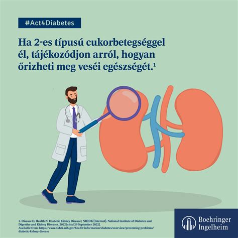Az 1-es típusú cukorbetegségben szenvedő hasnyálmirigy diagramja
