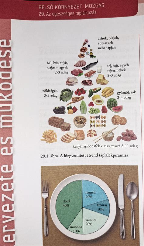 Táplálékpiramis ábrája