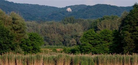 Vértes hegység panoráma