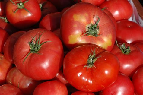 Különböző paradicsomfajták közelképe