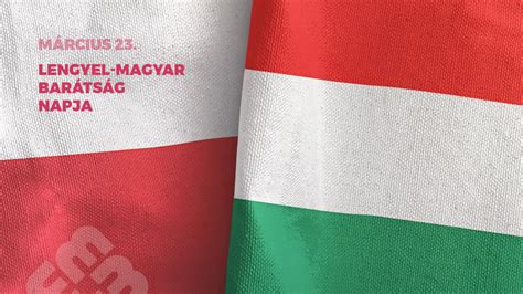 Magyar és lengyel séfek közös főzése