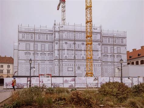 a budavári T9 fügebokor monumentális méretei a Lőportár mellett