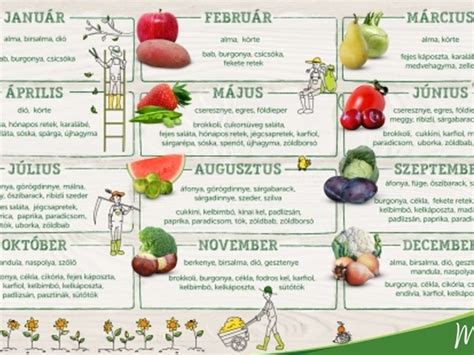 vegyes zöldség és gyümölcs smoothie