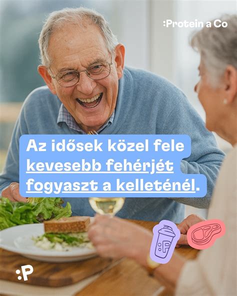 Fehérje és Izomtömeg Infografika