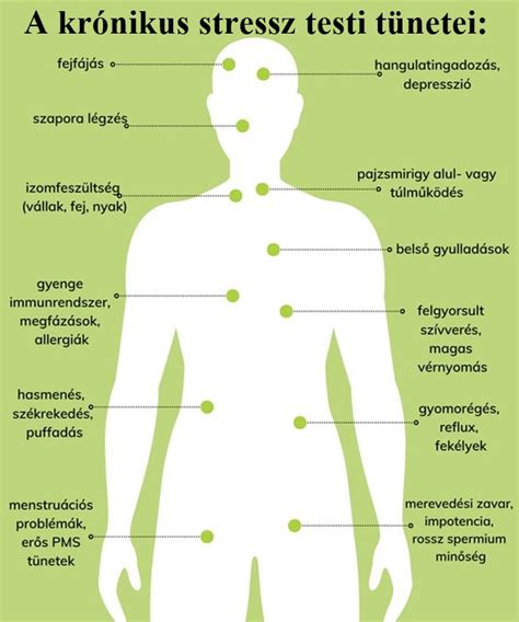 A stressz testi megnyilvánulásai