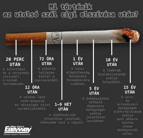 Dohányzásról leszokás előnyei grafikon