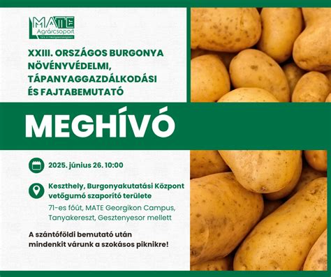 Burgonya darabolása főzelékhez