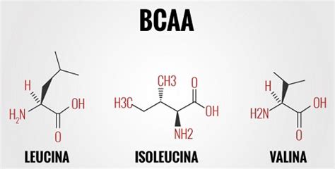 A BCAA, mint elágazó láncú aminosavak kémiai szerkezete