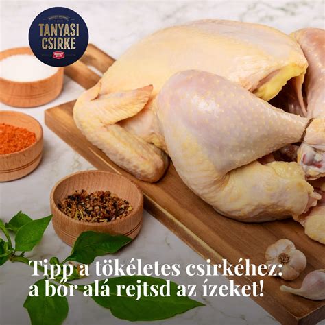 Tanyasi Csirke csomagolás