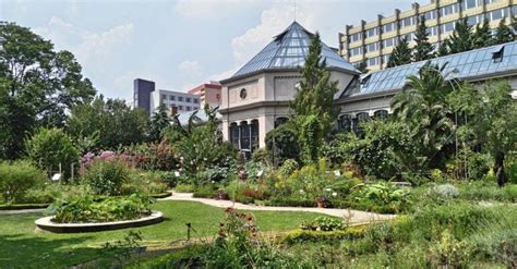 A Budapesti Füvészkert őszi színekben pompázva