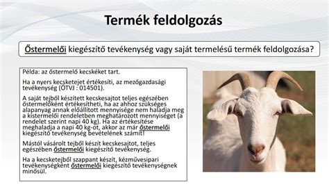 Őstermelői gazdaság