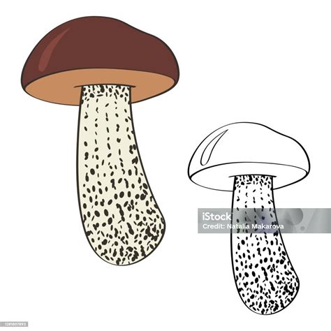 Vargánya illusztráció